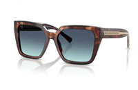 Sunglasses Tiffany Woman 0TF4235  55  84219S